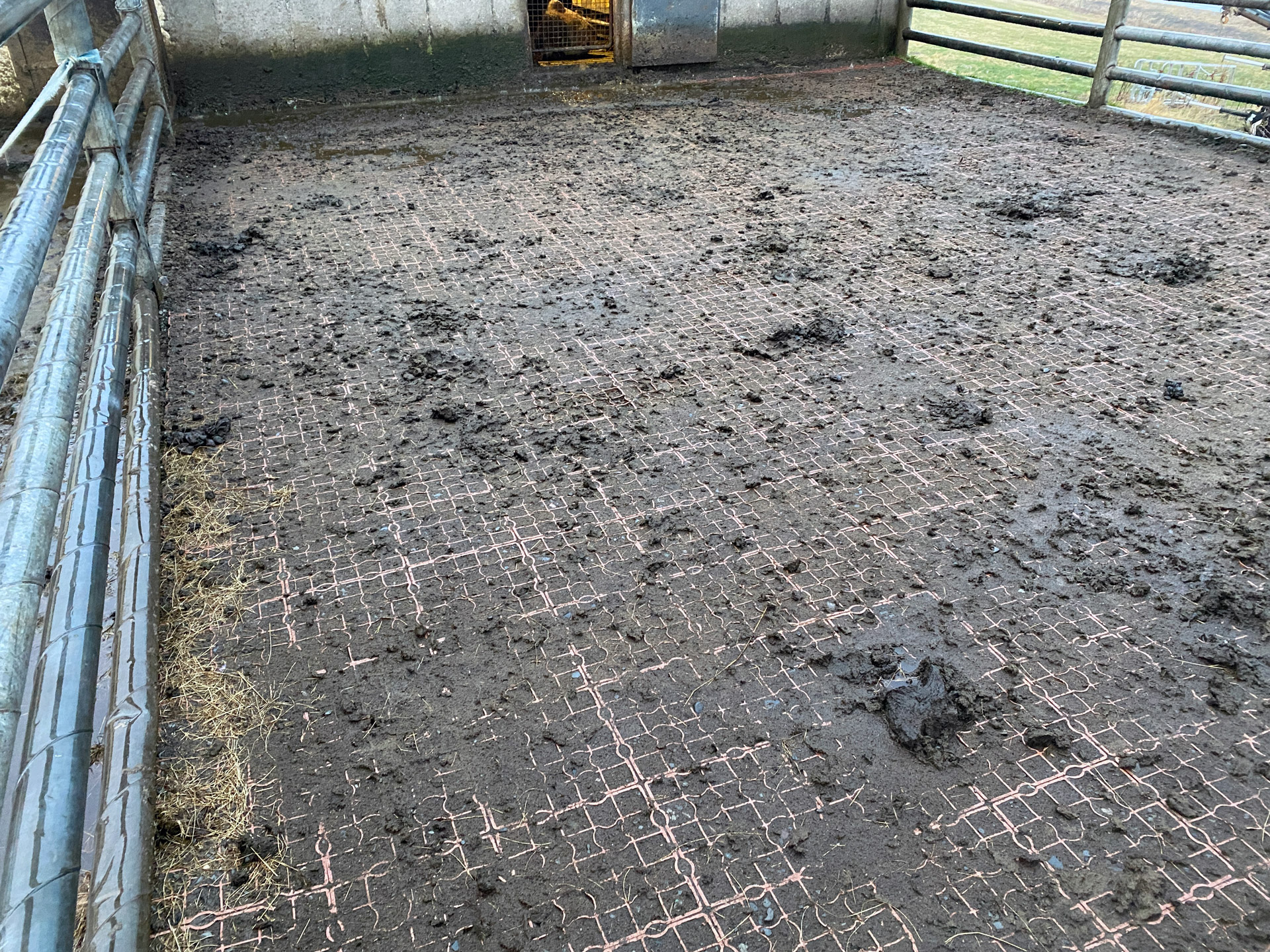 Með Ecoraster